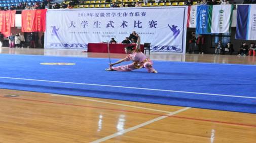 校武术队参加2019年安徽省大学生武术比赛获得佳绩