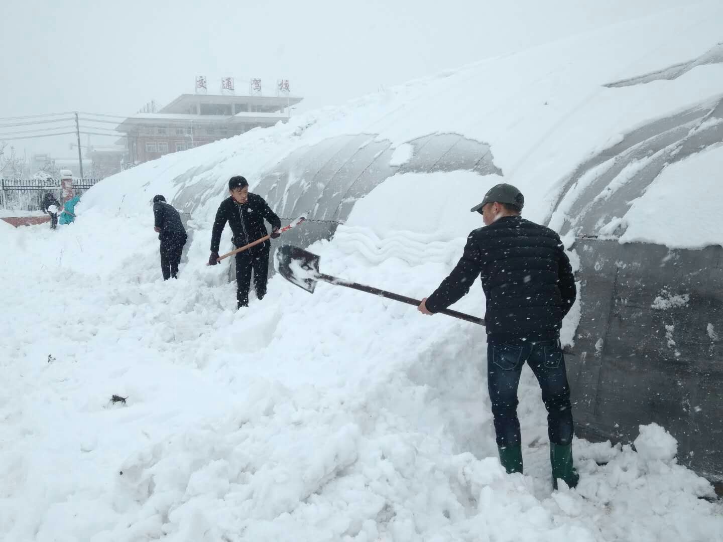 河北张家口：雪照张垣美山城-河北频道-长城网