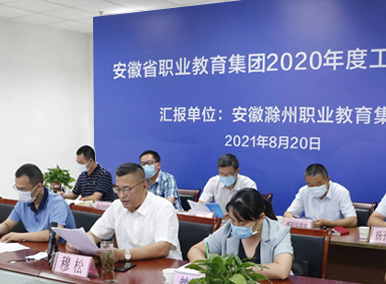 安徽省职业教育集团2020年度工作评议会