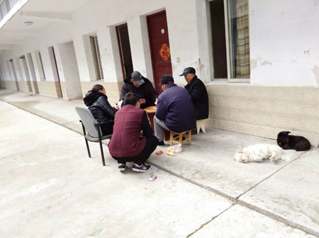 QQ图片20170328135135.jpg