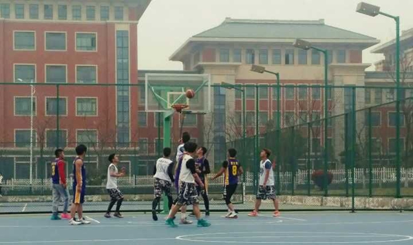 QQ图片20170331100542.jpg