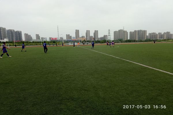 5141311987.jpg