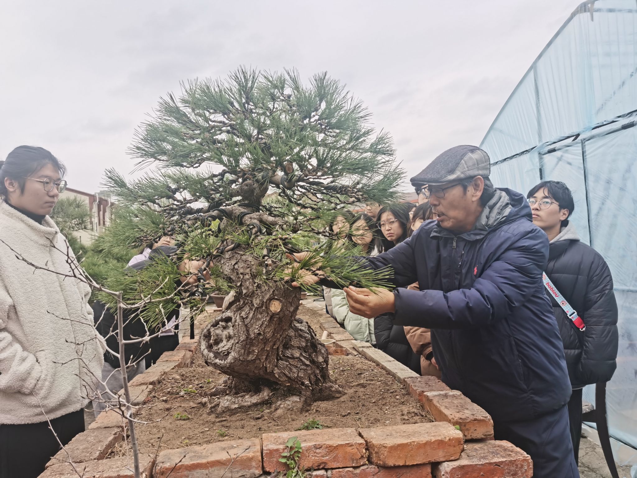 校企协同育匠才 盆景技艺传薪火——园林学子赴御园实训